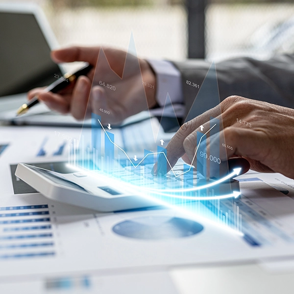 Financial data analysis work